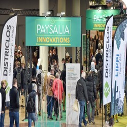 Paysalia